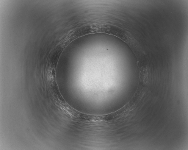 X0000077990770200610271109