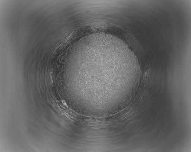 X0000077990772200610271109