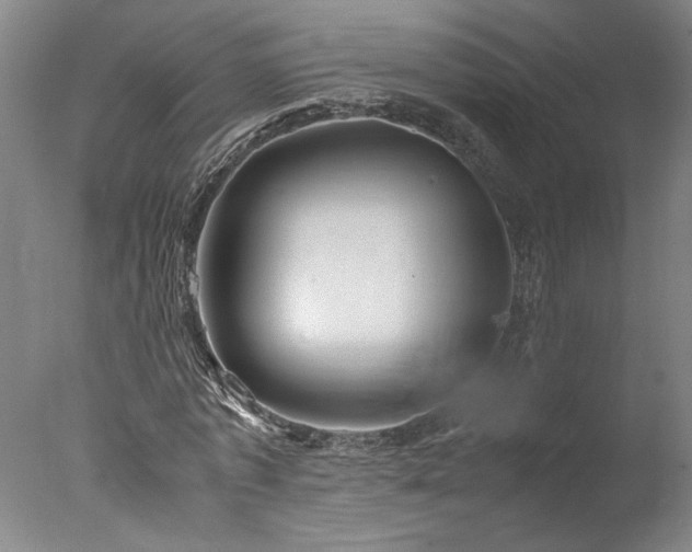 X0000077990773200610271109