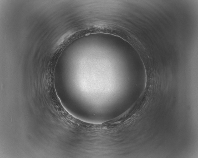 X0000077990776200610271109