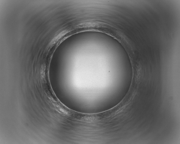 X0000077990778200610271109