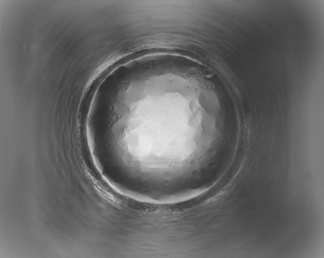 X0000077990779200610271109