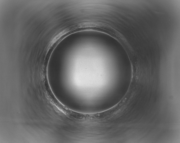 X0000077990786200610271109