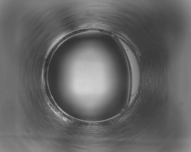 X0000077990788200610271109
