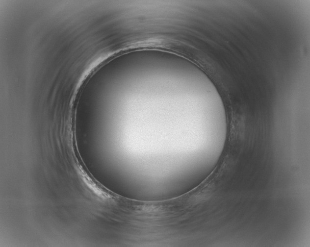 X0000077990800200610271109