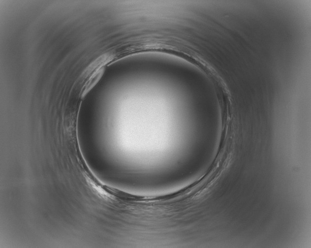 X0000077990801200610271109