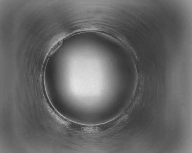 X0000077990805200610271109