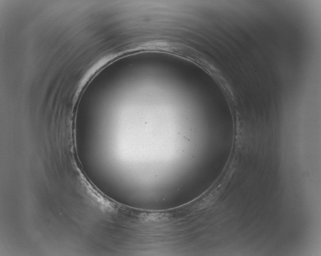 X0000077990808200610271109