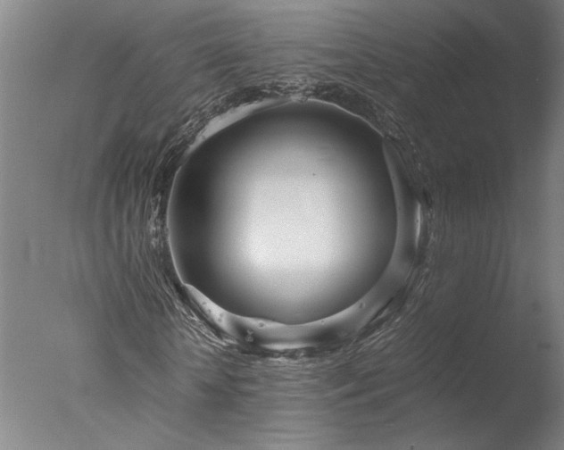 X0000077990818200610271108