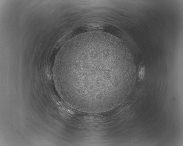 X0000077990819200610271108