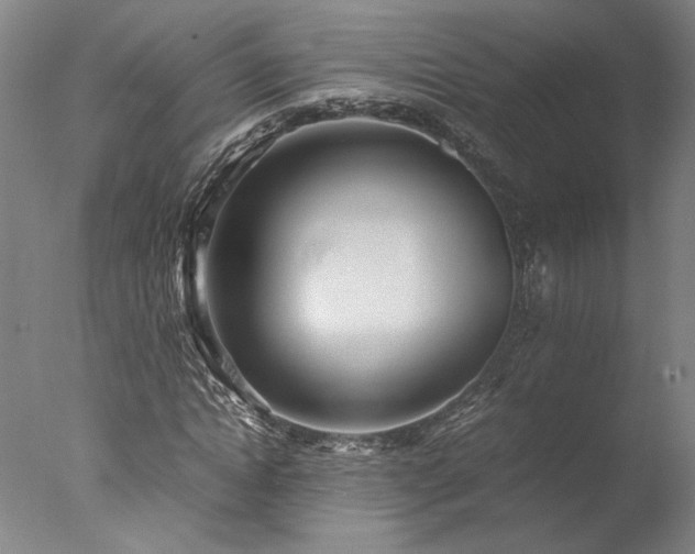 X0000077990822200610271108