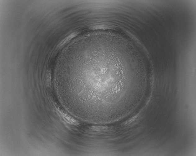 X0000077990825200610271108