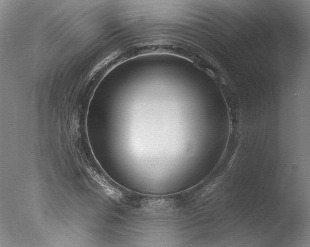 X0000077990826200610271108