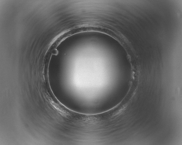 X0000077990830200610271108