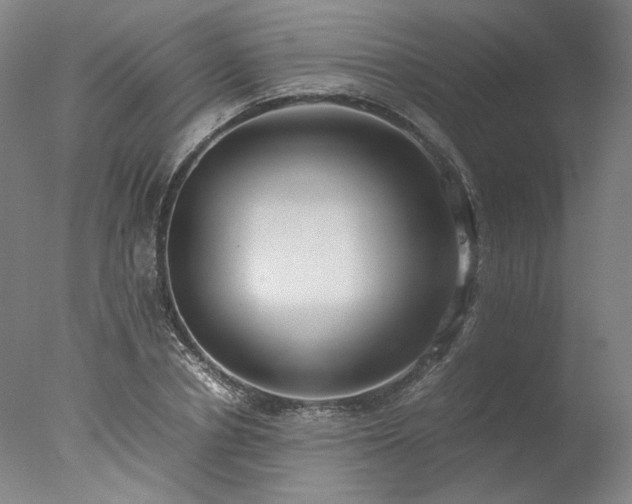 X0000077990834200610271108