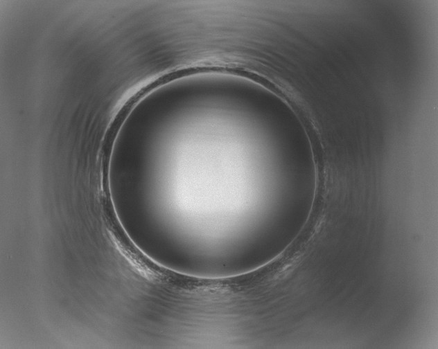 X0000077990838200610271108