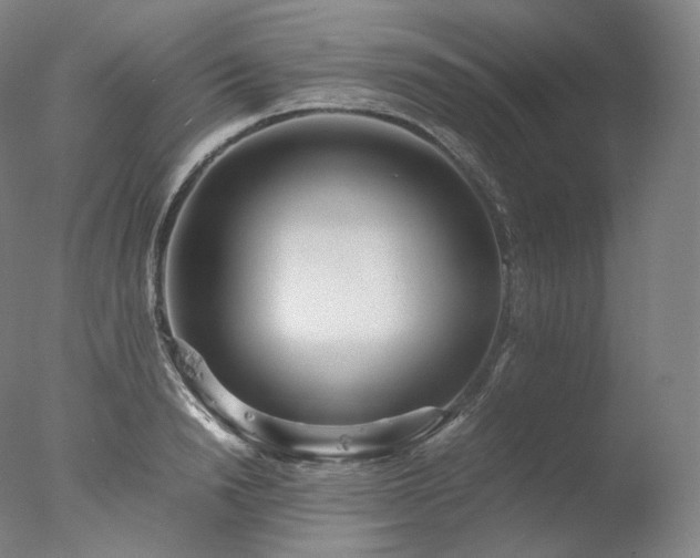 X0000077990846200610271108