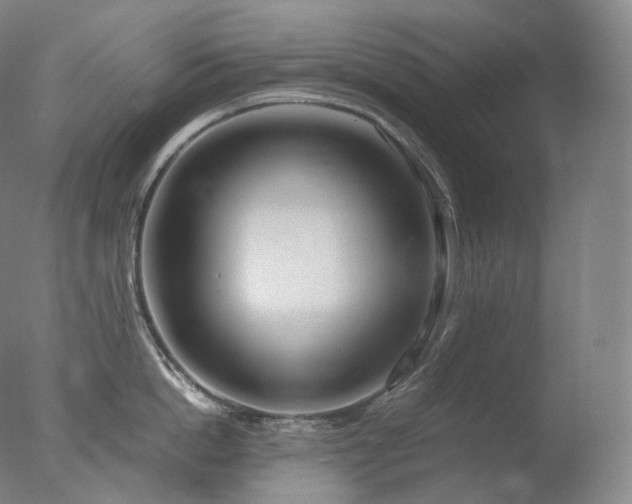 X0000077990862200610271109