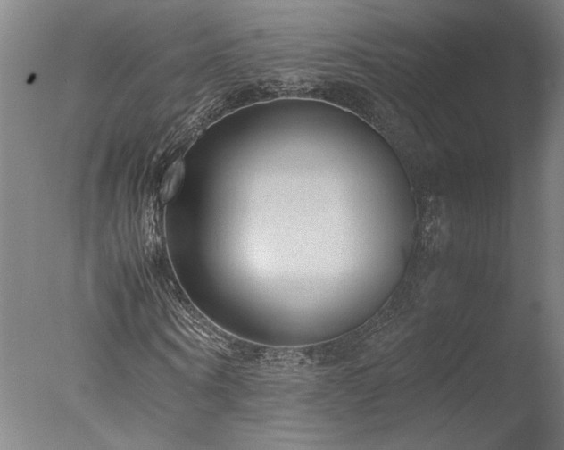 X0000077990866200610271108