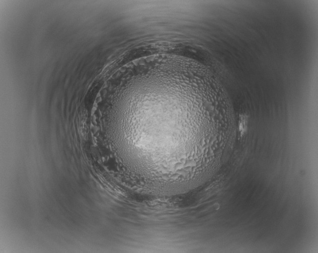 X0000077990867200610271108