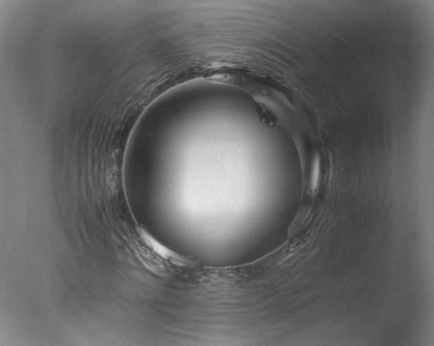 X0000077990868200610271108