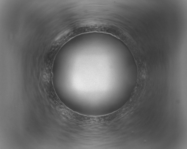 X0000077990869200610271108