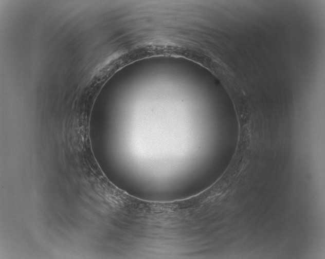 X0000077990870200610271108