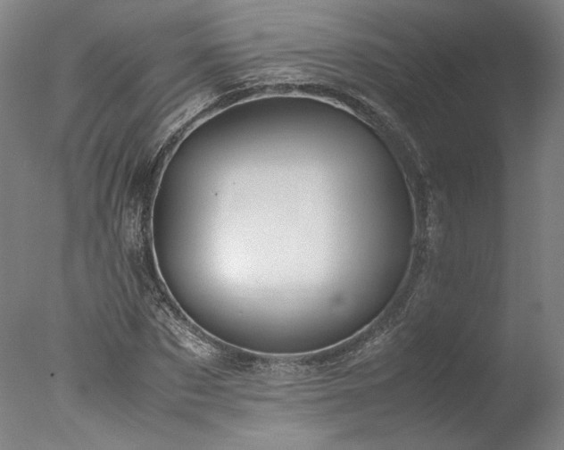 X0000077990873200610271108