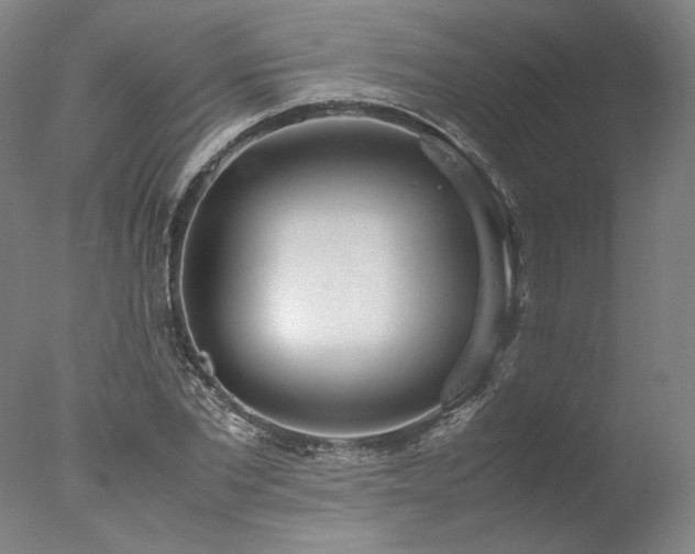 X0000077990877200610271108