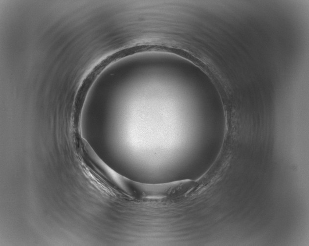 X0000077990880200610271108