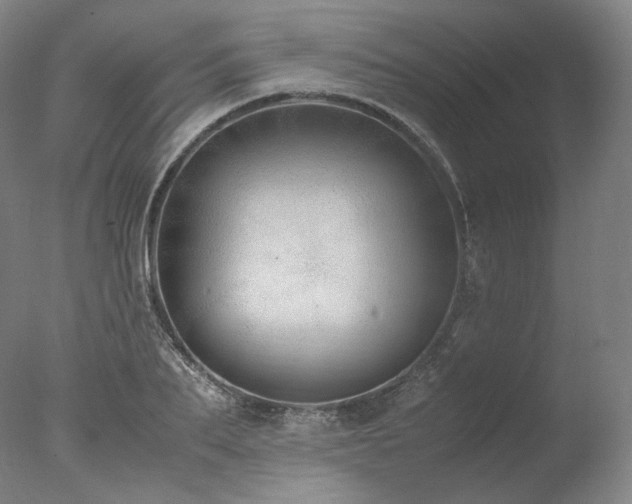 X0000077990887200610271107