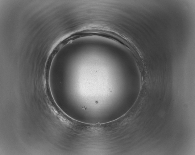 X0000077990888200610271107