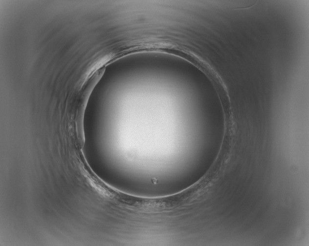 X0000077990889200610271107