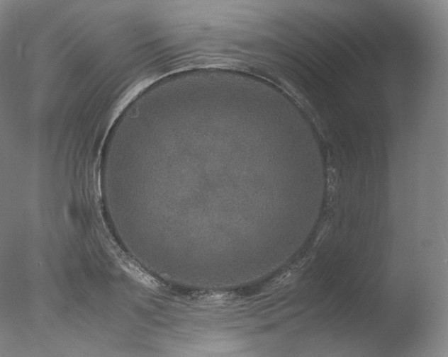 X0000077990891200610271107