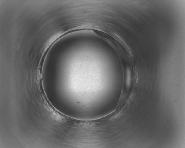 X0000077990900200610271107