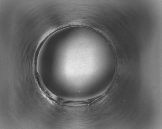 X0000077990902200610271107