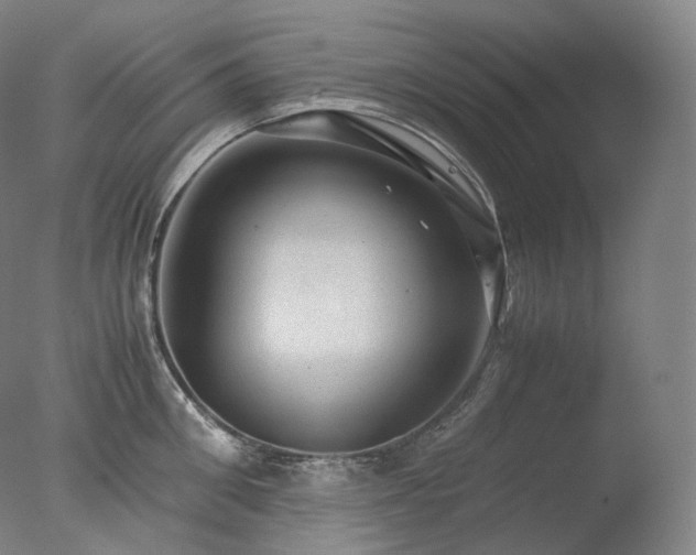 X0000077990906200610271107