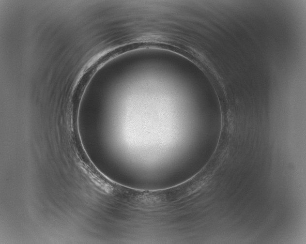 X0000077990931200610271107