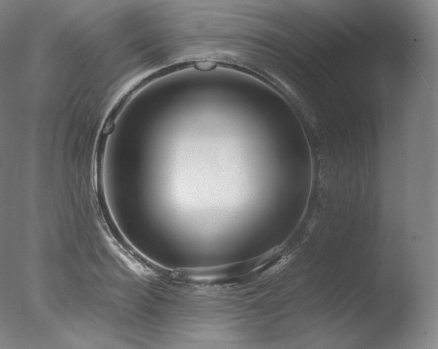 X0000077990940200610271107