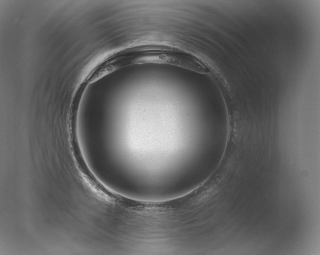 X0000077990942200610271107