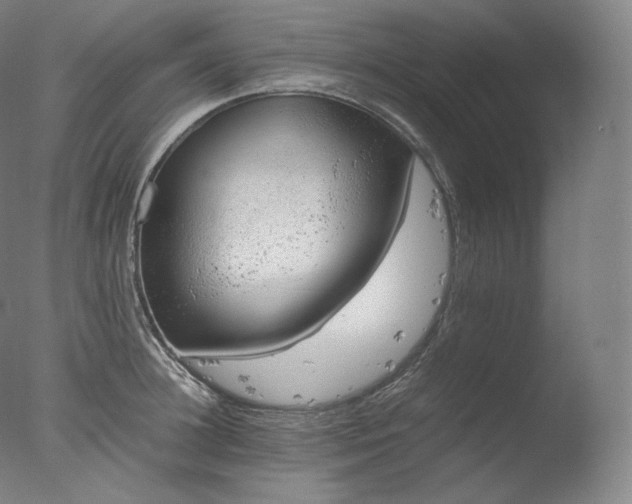 X0000077990948200610271107