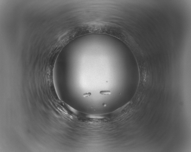X0000077990964200610271106