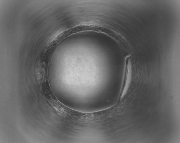 X0000077990968200610271106