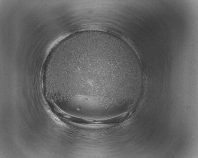 X0000077990987200610271106