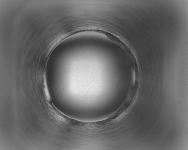 X0000077990993200610271106