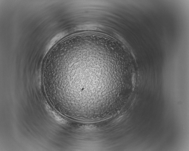 X0000077990994200610271106