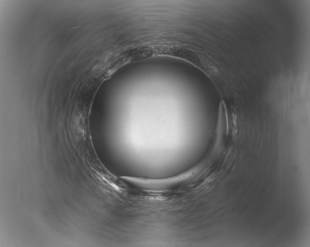 X0000077991010200610271105