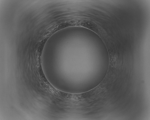 X0000077991013200610271105