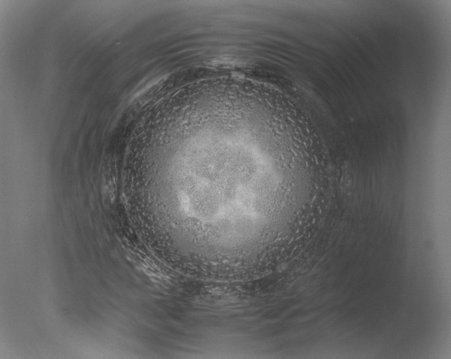X0000077991015200610271105