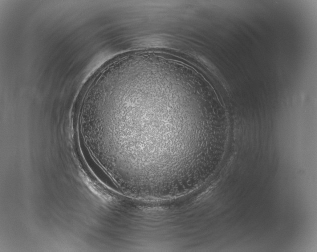 X0000077991031200610271105